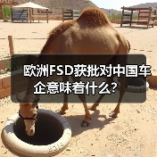 欧洲FSD获批对中国车企意味着什么? 欧洲FSD获批对中国车企意味着什么?