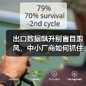 出口数据飙升别盲目跟风,中小厂商如何抓住利润关键? 出口数据飙升别盲目跟风,中小厂商如何抓住利润关键?
