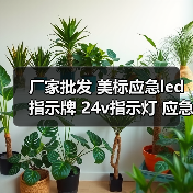 智穹界佑迈疾配网 智穹界佑迈疾配网