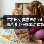 厂家批发 美标应急led指示牌 24v指示灯 应急指示灯规格可定制 厂家批发 美标应急led指示牌 24v指示灯 应急指示灯规格可定制