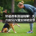 智穹界佑迈疾配网 智穹界佑迈疾配网