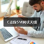 C波段5M网状天线
