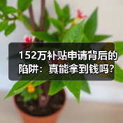 152万补贴申请背后的陷阱:真能拿到钱吗? 152万补贴申请背后的陷阱:真能拿到钱吗?
