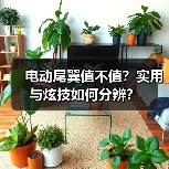 智穹界佑迈疾配网 智穹界佑迈疾配网