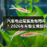 汽车电动尾翼真有用吗？2026年车型实用解析