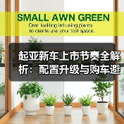 起亚新车上市节奏全解析:配置升级与购车避坑指南 起亚新车上市节奏全解析:配置升级与购车避坑指南