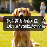 智穹界佑迈疾配网 智穹界佑迈疾配网