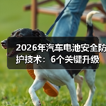 智穹界佑迈疾配网 智穹界佑迈疾配网