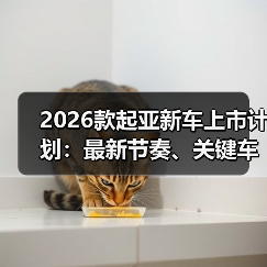 2026款起亚新车上市计划:最新节奏、关键车型与下单避坑指南 2026款起亚新车上市计划:最新节奏、关键车型与下单避坑指南