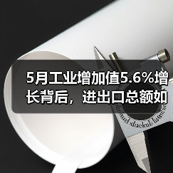 5月工业增加值5.6%增长背后，进出口总额如何突破8.6%？
