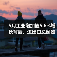 5月工业增加值5.6%增长背后，进出口总额如何突破8.6%？