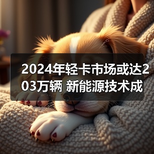 2024年轻卡市场或达203万辆 新能源技术成增长关键 2024年轻卡市场或达203万辆 新能源技术成增长关键