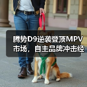 智穹界佑迈疾配网 智穹界佑迈疾配网
