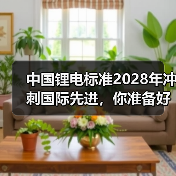 中国锂电标准2028年冲刺国际先进，你准备好了吗？