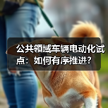 公共领域车辆电动化试点:如何有序推进? 公共领域车辆电动化试点:如何有序推进?