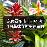 东南亚车市|2025年11月菲律宾新车销量同比下降9% 东南亚车市|2025年11月菲律宾新车销量同比下降9%
