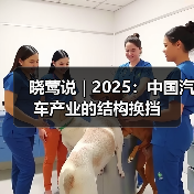 晓莺说 | 2025:中国汽车产业的结构换挡 晓莺说 | 2025:中国汽车产业的结构换挡
