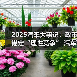 2025汽车大事记:政策锚定“理性竞争” 汽车行业严控无序价格战 2025汽车大事记:政策锚定“理性竞争” 汽车行业严控无序价格战