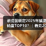 谁提前锁定2025年插混销量TOP10?|看见2025 谁提前锁定2025年插混销量TOP10?|看见2025