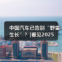 中国汽车已告别“野蛮生长”?|看见2025 中国汽车已告别“野蛮生长”?|看见2025