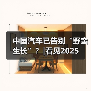 中国汽车已告别“野蛮生长”?|看见2025 中国汽车已告别“野蛮生长”?|看见2025