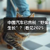 中国汽车已告别“野蛮生长”?|看见2025 中国汽车已告别“野蛮生长”?|看见2025