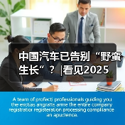 中国汽车已告别“野蛮生长”?|看见2025 中国汽车已告别“野蛮生长”?|看见2025