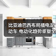比亚迪巴西布局插电混动车 电动化趋势重塑全球市场 比亚迪巴西布局插电混动车 电动化趋势重塑全球市场