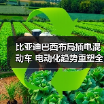 比亚迪巴西布局插电混动车 电动化趋势重塑全球市场 比亚迪巴西布局插电混动车 电动化趋势重塑全球市场