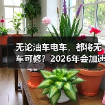 无论油车电车,都将无车可修?2026年会加速洗牌吗? 无论油车电车,都将无车可修?2026年会加速洗牌吗?