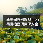 新车保养别忽视!5个易漏检查项目保安全 新车保养别忽视!5个易漏检查项目保安全