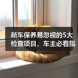 新车保养易忽视的5大检查项目,车主必看指南 新车保养易忽视的5大检查项目,车主必看指南