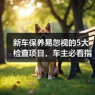 新车保养易忽视的5大检查项目,车主必看指南 新车保养易忽视的5大检查项目,车主必看指南
